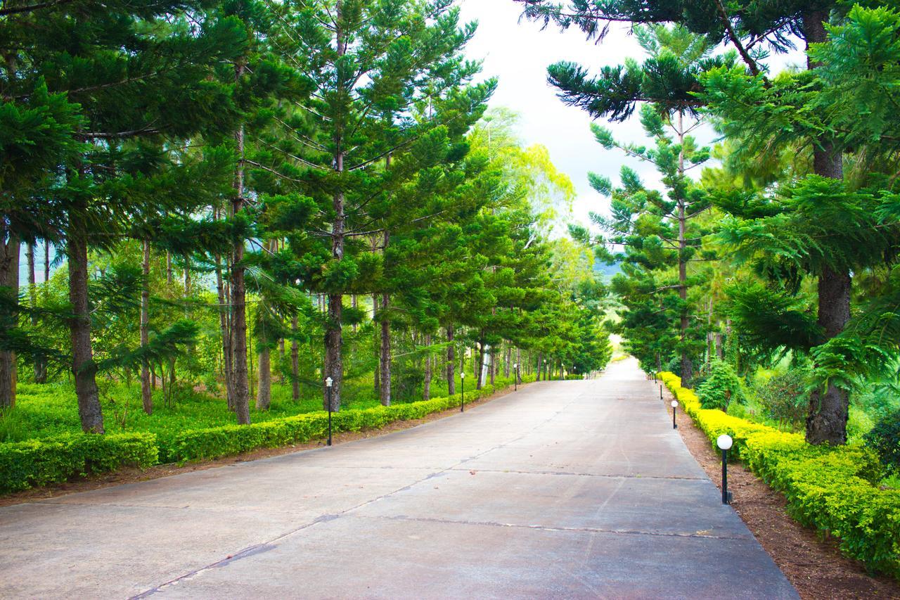 Bird Land Resort Khao Kho Exterior foto